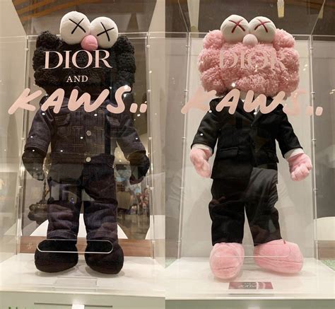 kaws x dior